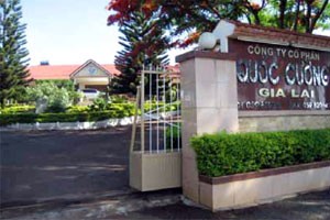 Công ty mẹ QCG lỗ gần 31 tỷ đồng 