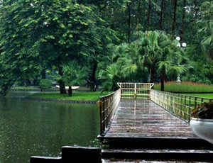 Một góc trong vườn Bách Thảo
