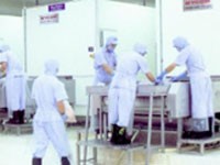 AGF dự kiến đạt 85 tỷ đồng LNTT năm 2012