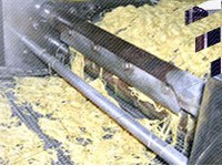 SAF: Cổ đông lớn rút toàn bộ hơn 17% vốn