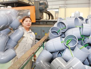 NTP và BMP: nguy cơ bị nước ngoài thâu tóm
