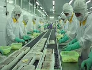 FMC: Hiệu quả kinh doanh quý I ở mức thấp