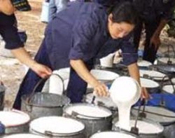 Quý I, DPR đạt hơn 100 tỷ đồng LNTT 