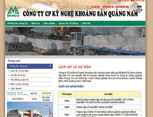 Dấu hỏi vai trò người đại diện vốn Nhà nước