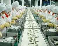 MPC: Quỹ Đầu tư Việt Nam đăng ký giao dịch 800.000 cổ phiếu