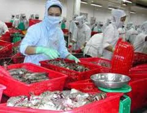 Năm nay, Seanamico đặt kế hoạch cổ tức 14% 