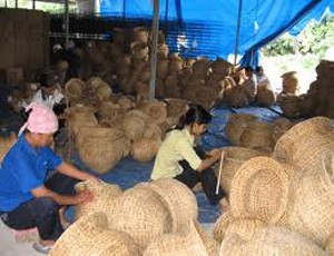 Thành viên hợp tác xã góp vốn tối đa không vượt quá 20%