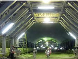 CSM: Lợi nhuận có thể vượt 50 tỷ đồng so với kế hoạch
