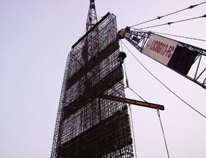 Licogi sẽ cổ phần hoá trong 6 tháng cuối năm