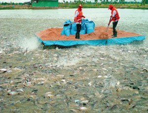 Bảo hiểm nông nghiệp: Làm đến đâu phải chắc đến đó