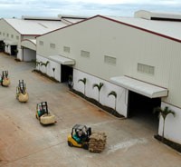 THV tham gia dự án 100.000 héc-ta cà phê tại Angola