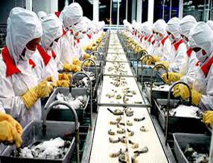 DN thủy sản: hiệu quả kinh doanh đồng loạt giảm mạnh