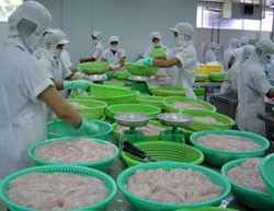 CMX: Một cá nhân đã mua 10% vốn