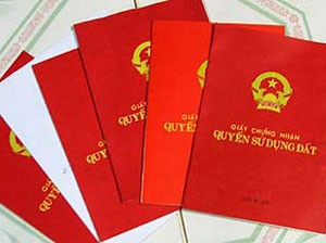 Con gái Tổng giám đốc Tập đoàn KAT sắp bị Toà luận tội