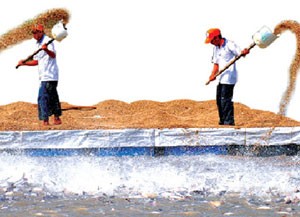 Đường xa mới biết ngựa hay