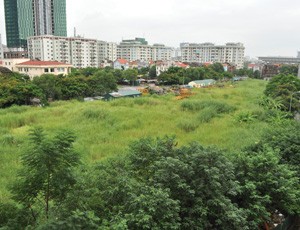 Hà Nội kiến nghị thu hồi trên 3.400 m2 đất hoang