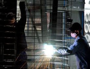 Khảo sát thuế đối với bảo hiểm dành cho người lao động
