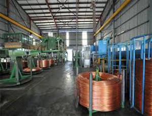 CSG hủy niêm yết từ ngày 4/10
