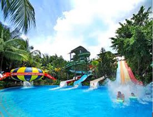 DSN bất ngờ có cổ đông lớn 