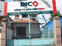 BIC tặng từ 20 - 50% phí bảo hiểm cho khách hàng nữ
