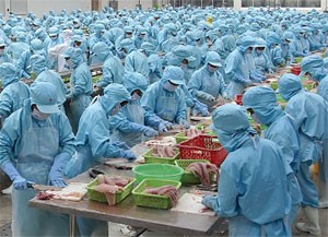 MBS đổ thêm vốn vào IDI để đầu tư dài hạn