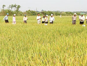 Syngenta AG tăng cường hợp tác với AGPPS