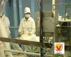 SBT muốn bán hết 14 triệu cổ phiếu quỹ