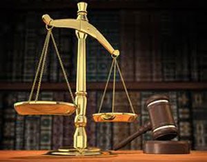 Trưng cầu giám định vụ tranh chấp PJICO và Xăng dầu hàng không