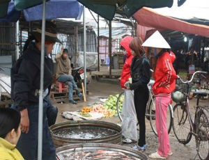 Mức thưởng Tết của nhân viên, công nhân thấp chỉ hơn 300.000 đồng