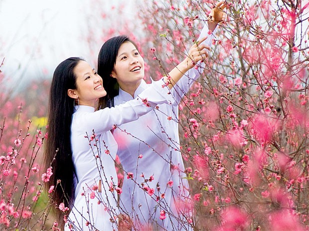 Yêu hoa cũng phải biết đường chọn hoa…