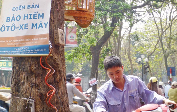 Xử lý vi phạm bảo hiểm, cơ quan quản lý “đau đầu”