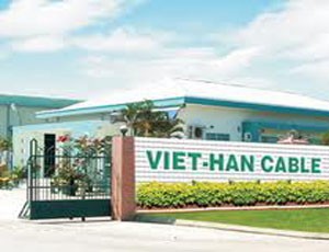 VHG thành lập công ty con với 51% vốn góp