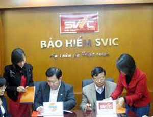 SVIC đặt kế hoạch lãi 916 triệu đồng