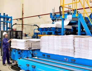 Giấy An Hòa sẽ có đối tác nước ngoài